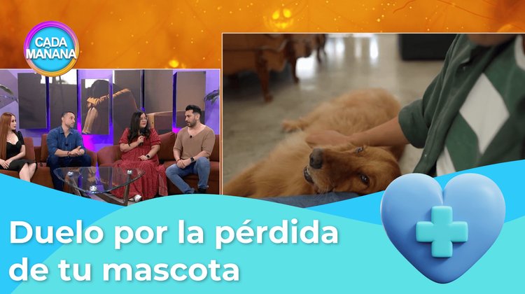 Duelo por la pérdida de tu mascota| Cada Mañana