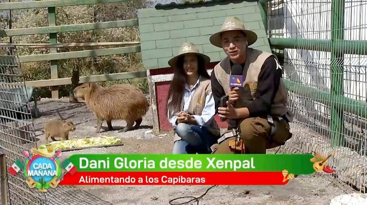 Tu Reportero Favorito | Danny Gloria - Desde Xenpal