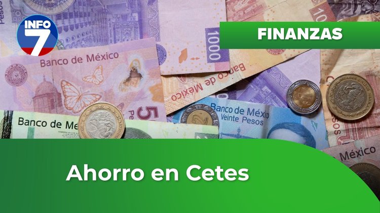 Finanzas para la vida - ¿Qué son los Cetes? | INFO7