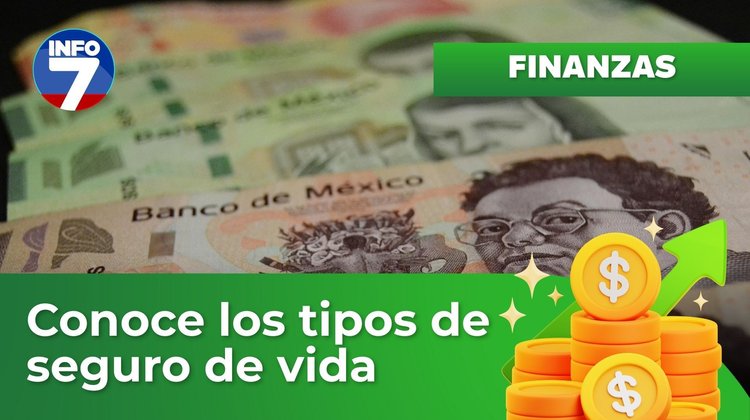 Finanzas para la vida - Conoce los principales tipos de seguro de vida | INFO7