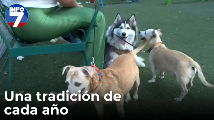 Bendición de Mascotas en Parroquia San Francisco de Asís | INFO7