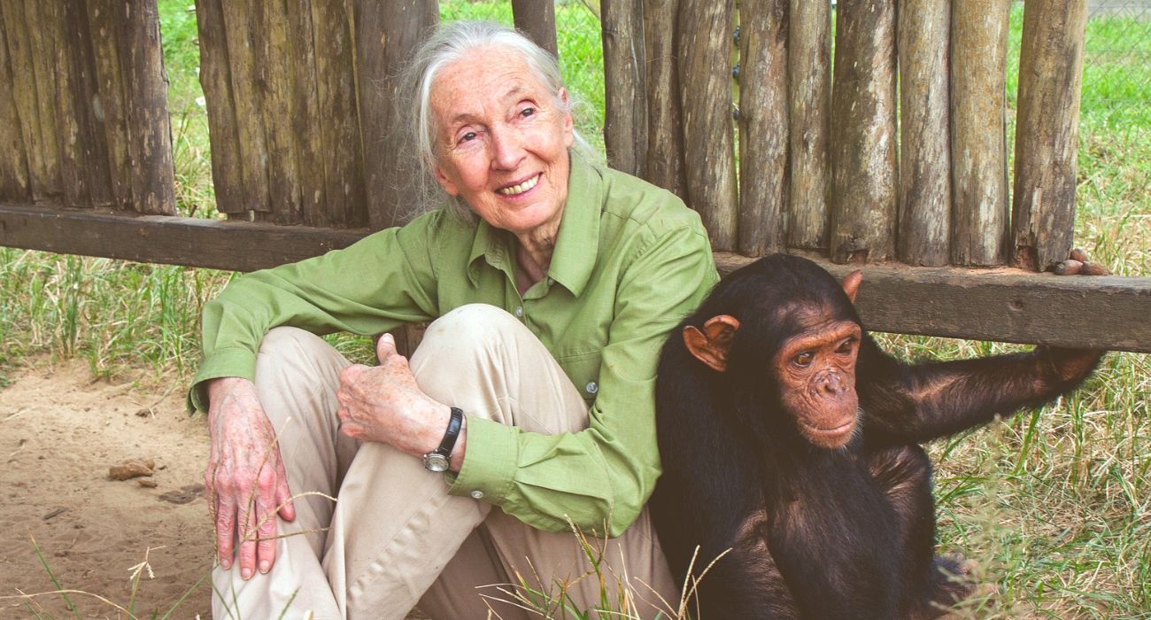 muere jane goodall cientifica edad causa de muerte .jpg