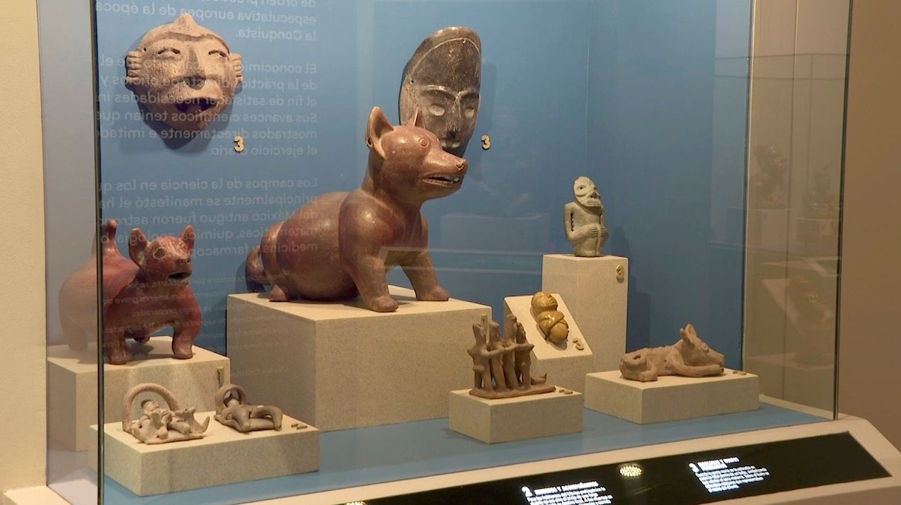 museo-san-pedro-arqueologia.jpg