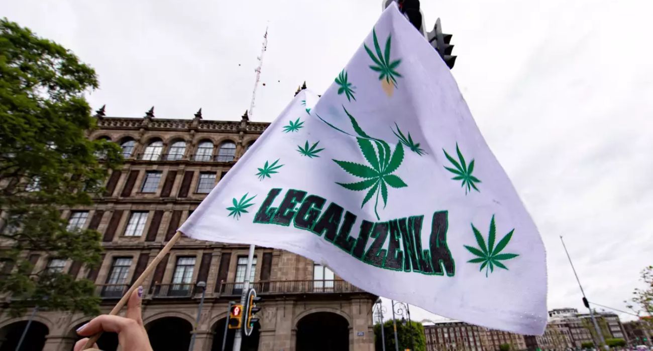 nacional-marihuana.jpg