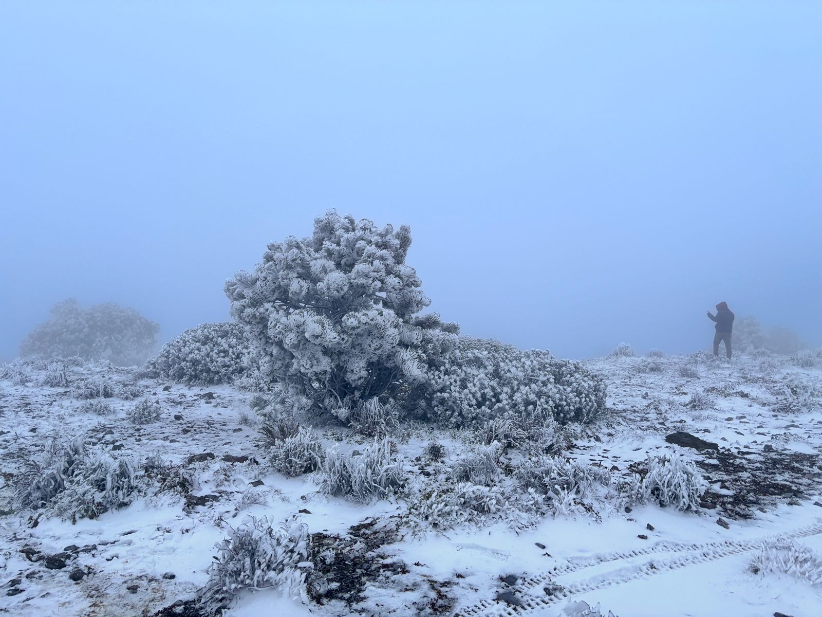 nieve monterrey nuevo leon cerro potosi