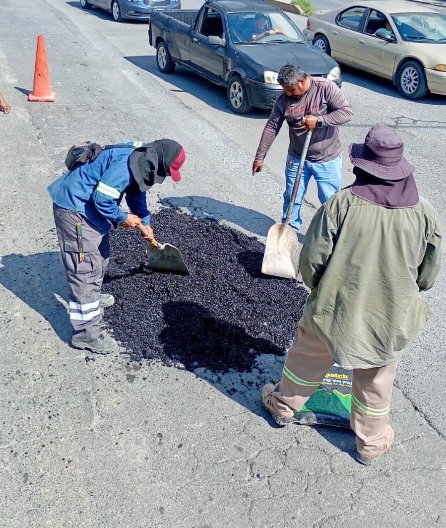 nl-baches-santa-catarina.jpg