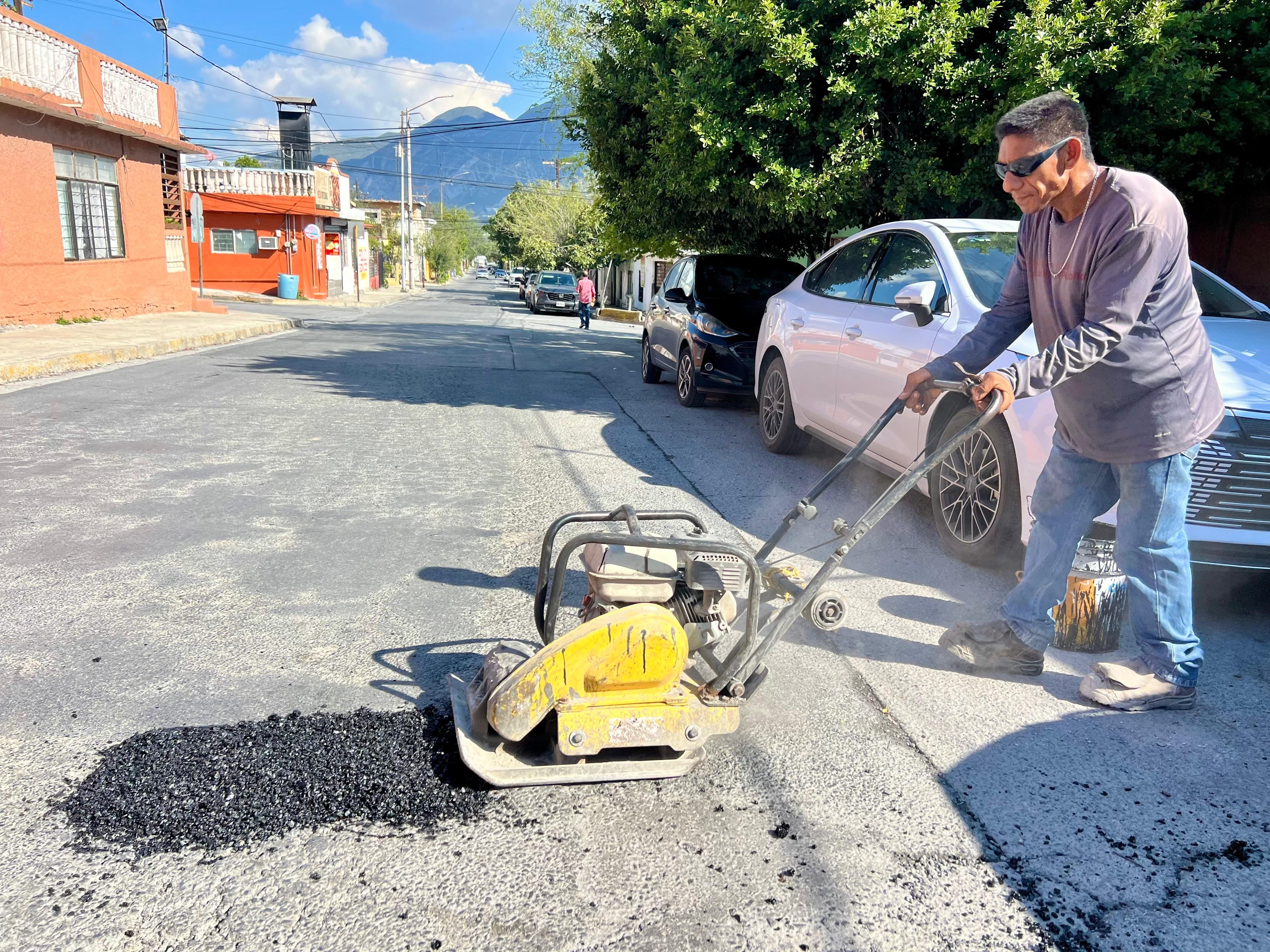 nl-baches-santa-catarina.jpg