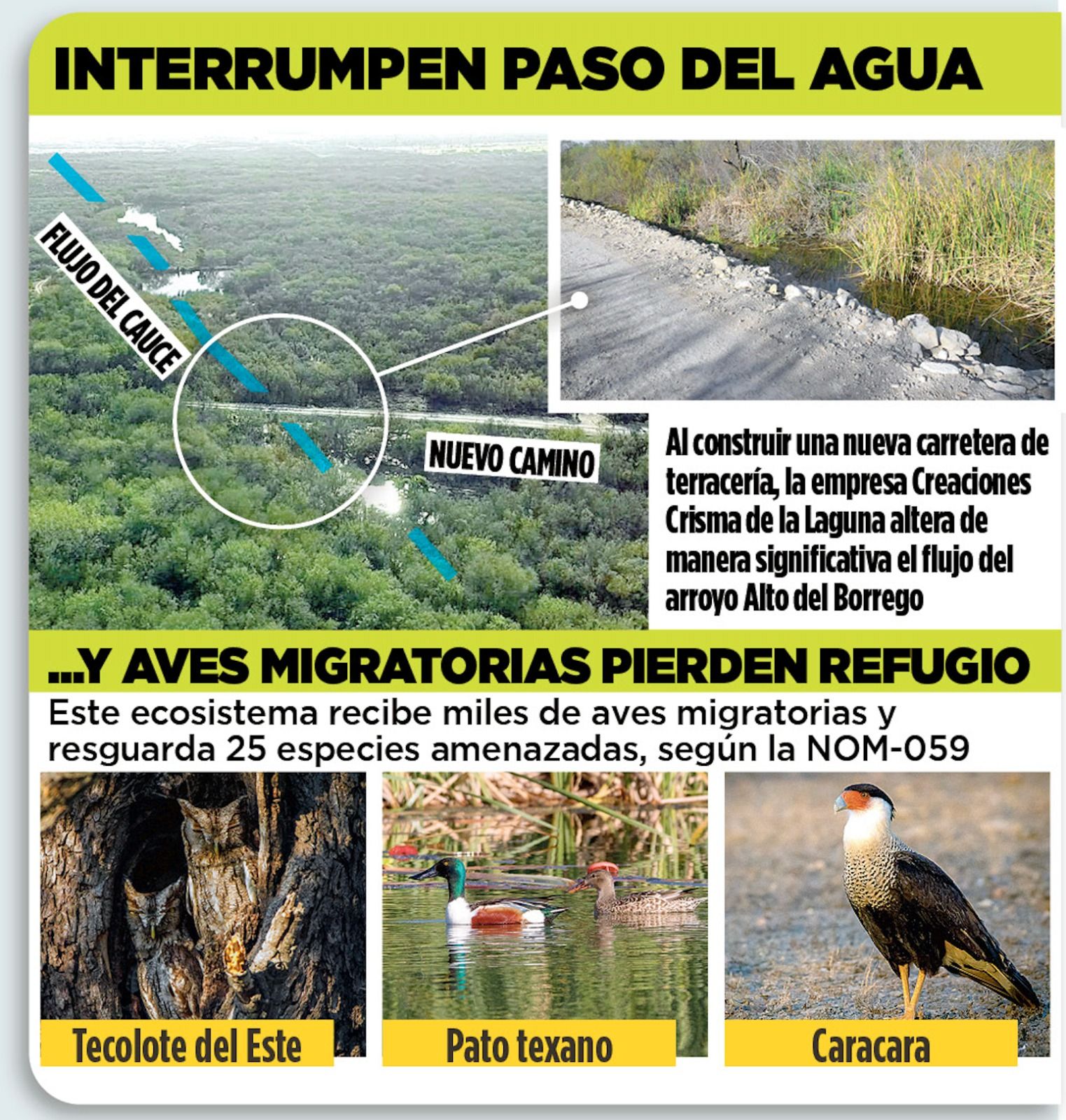 nl-humedales-zuazua-animales-grafico.jpeg
