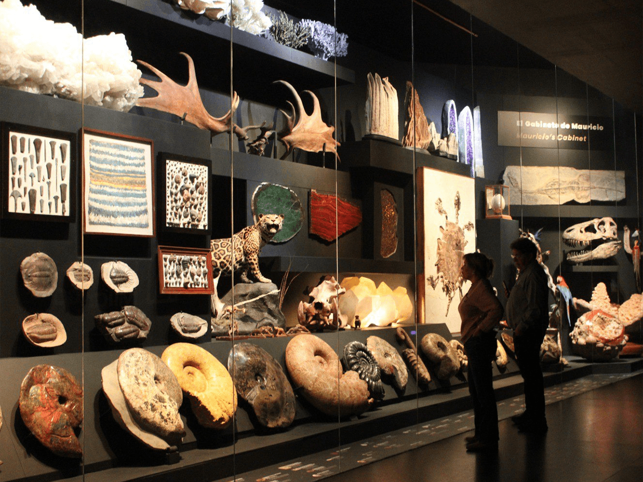 nl-museo-la-milarca.png