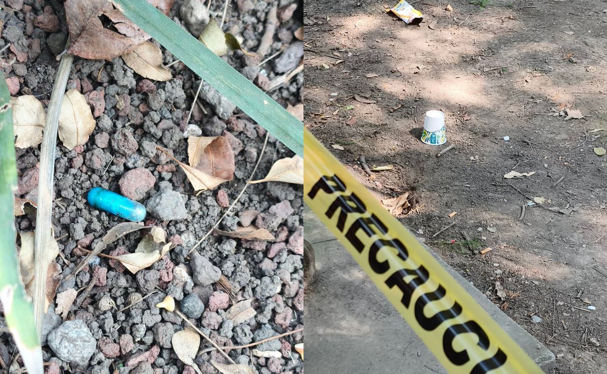 pastillas-azules-halladas-en-el-parque-espana-durante-investigacion-por-envenenamiento-de-perros.jpg
