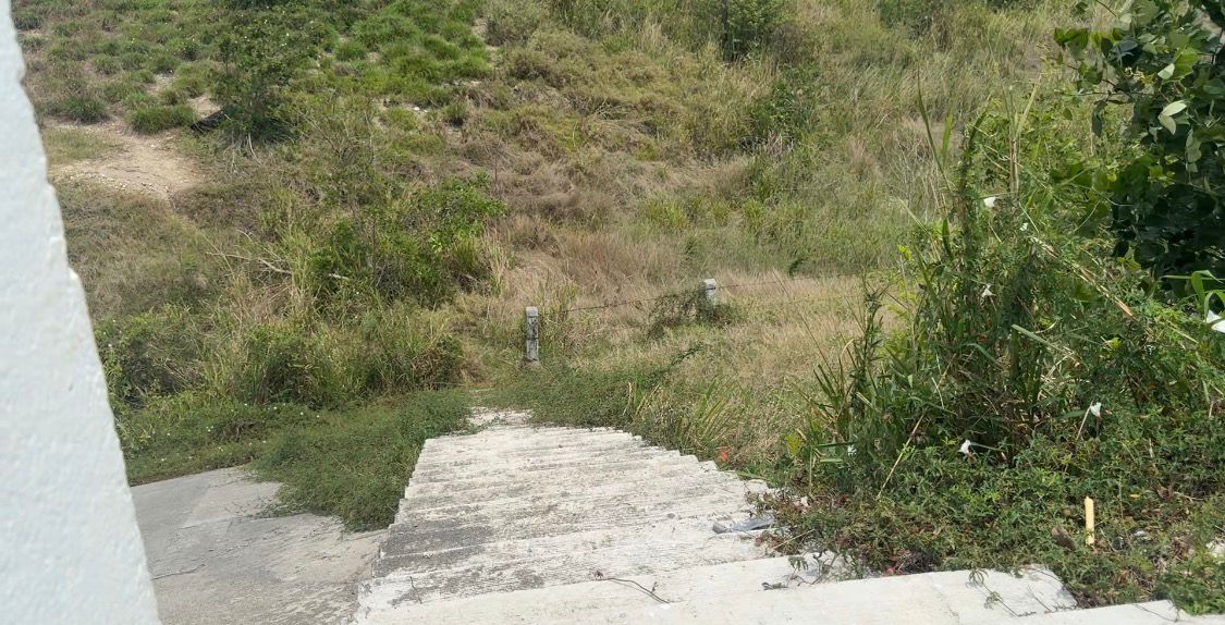 peligro-latente-en-cruce-peatonal-puente-magiscatzin.jpg