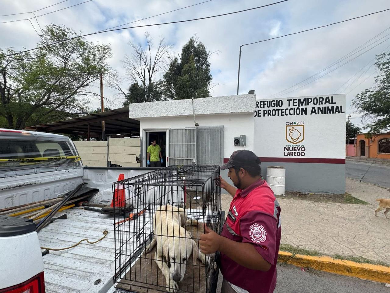 perrito-rescatado-laredo