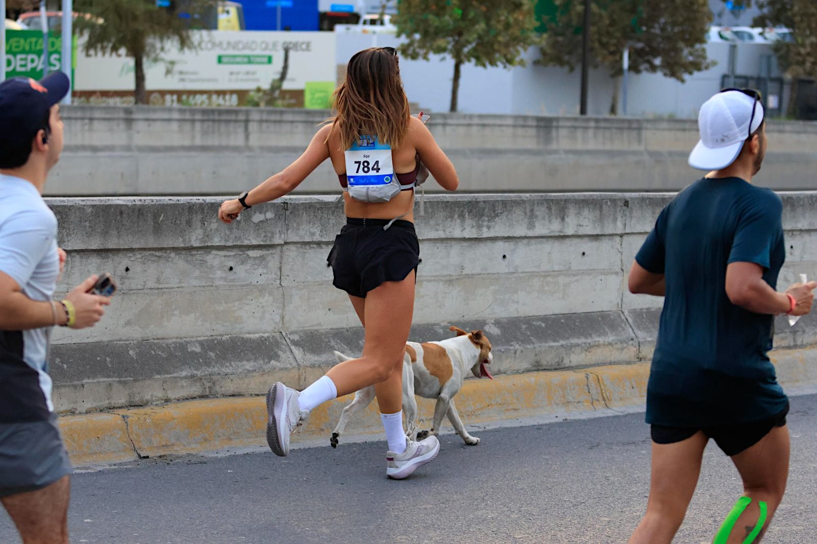 perro-maraton-monterrey1.jpeg