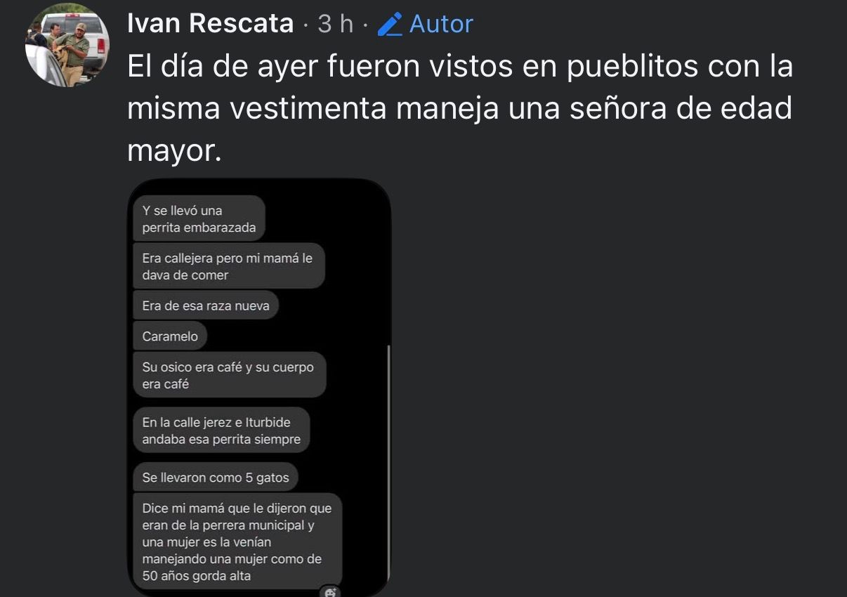 perros matamoros 3.jpeg