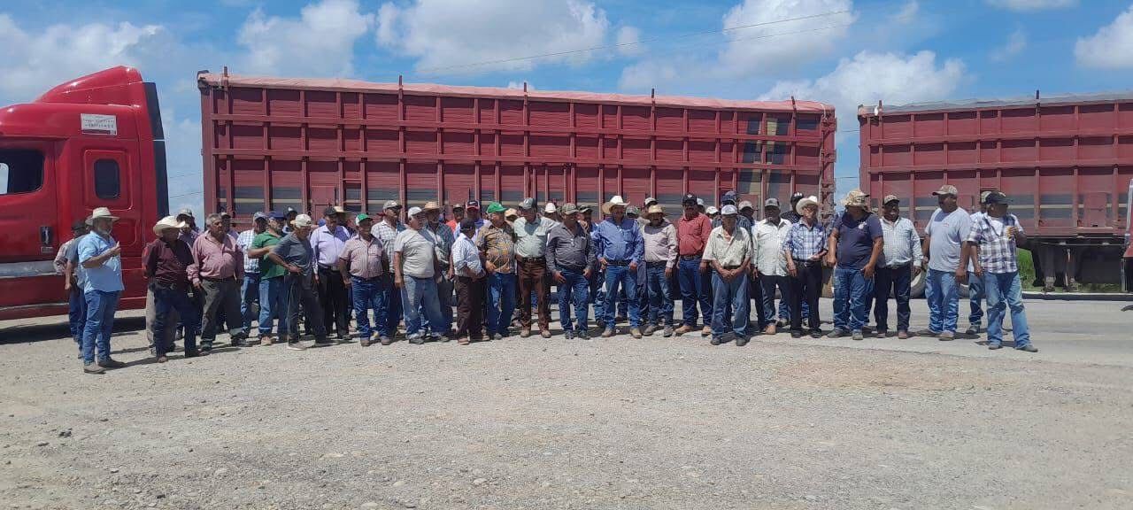 productores-sorgo-tamaulipas.jpeg