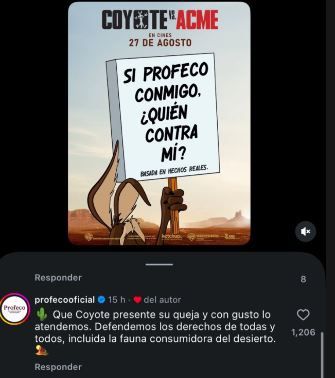 profecto.JPG