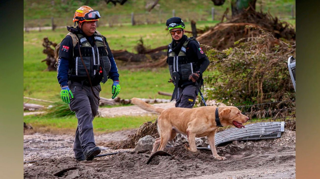 proteccion-civil-texas-perros1.jpg
