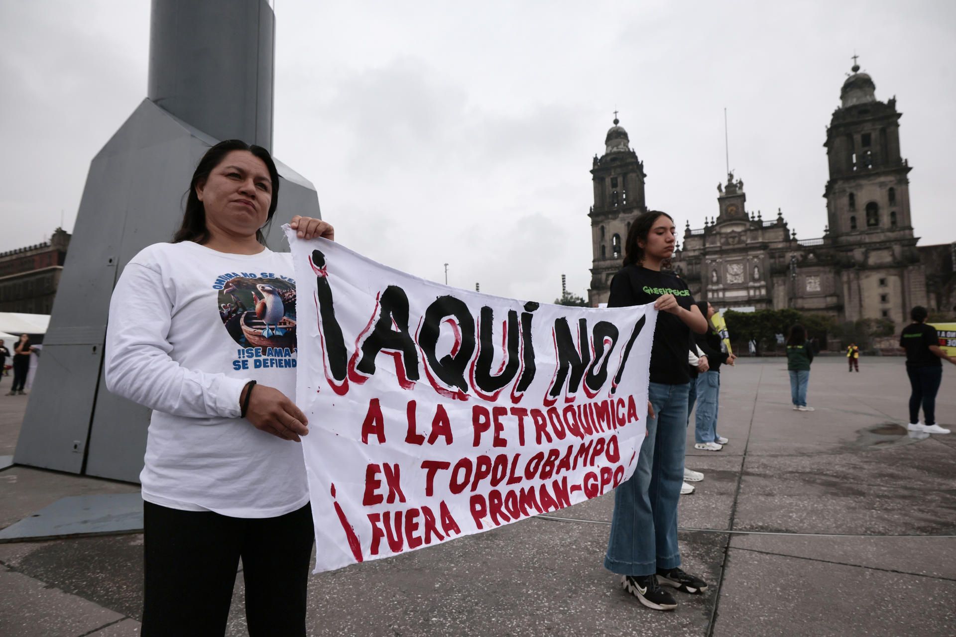 protesta-ambientalistas-planta3.jpg