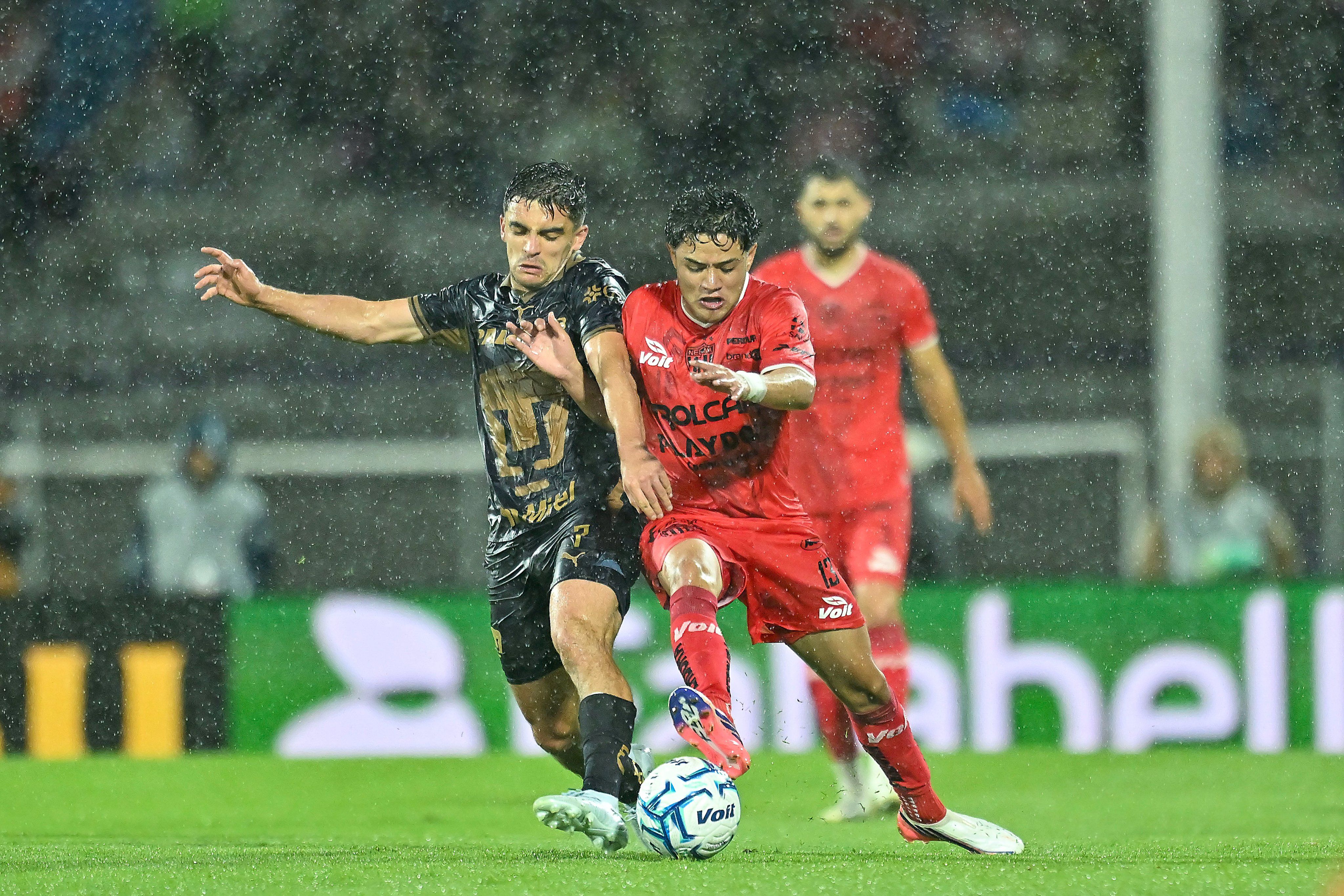 pumas.jpeg