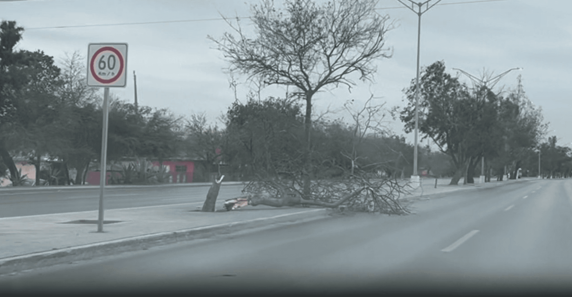 rafagas-viento-derriban-arboles-postes-matamoros.jpg