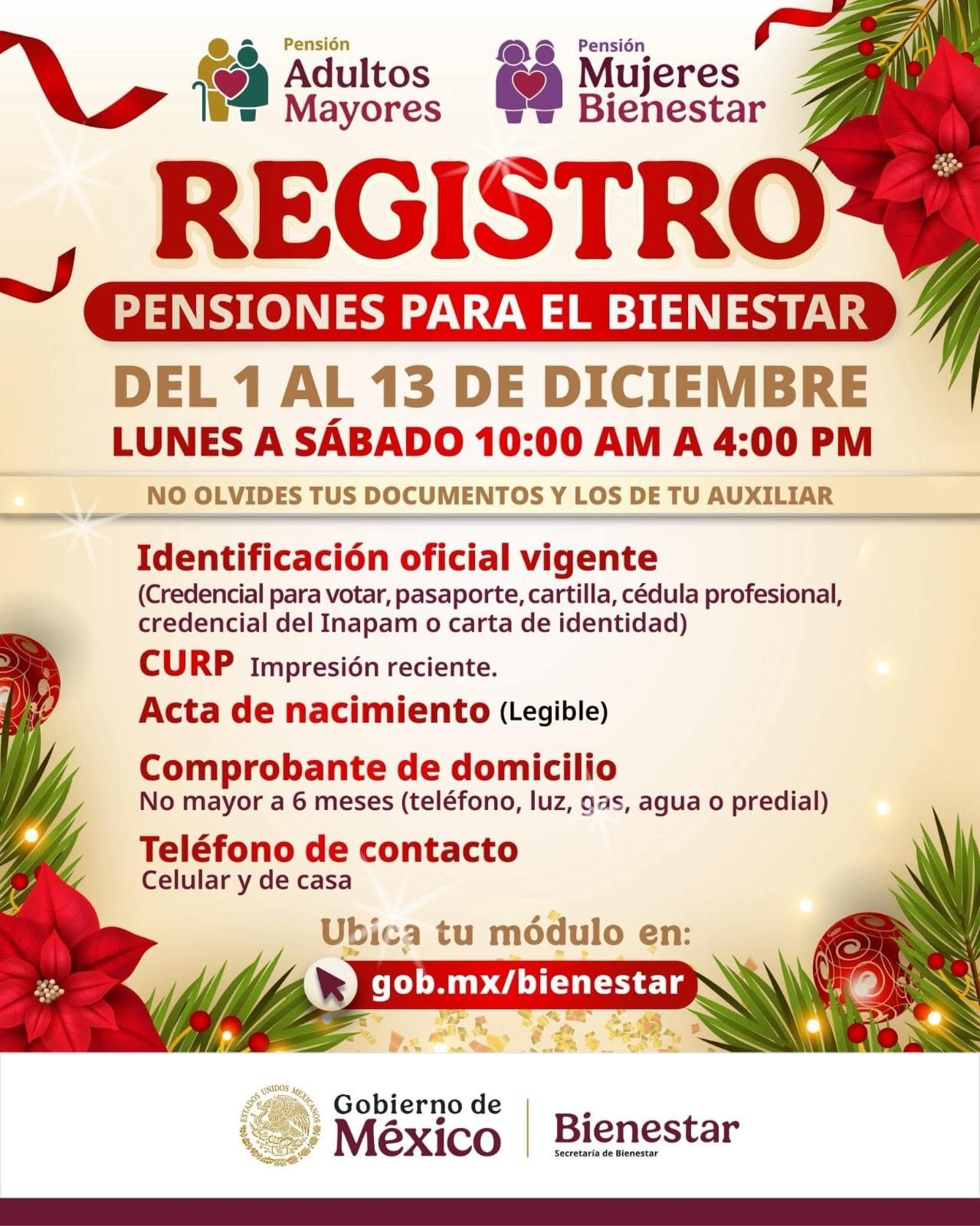 registro-pensiones-bienestar-2025.jpg