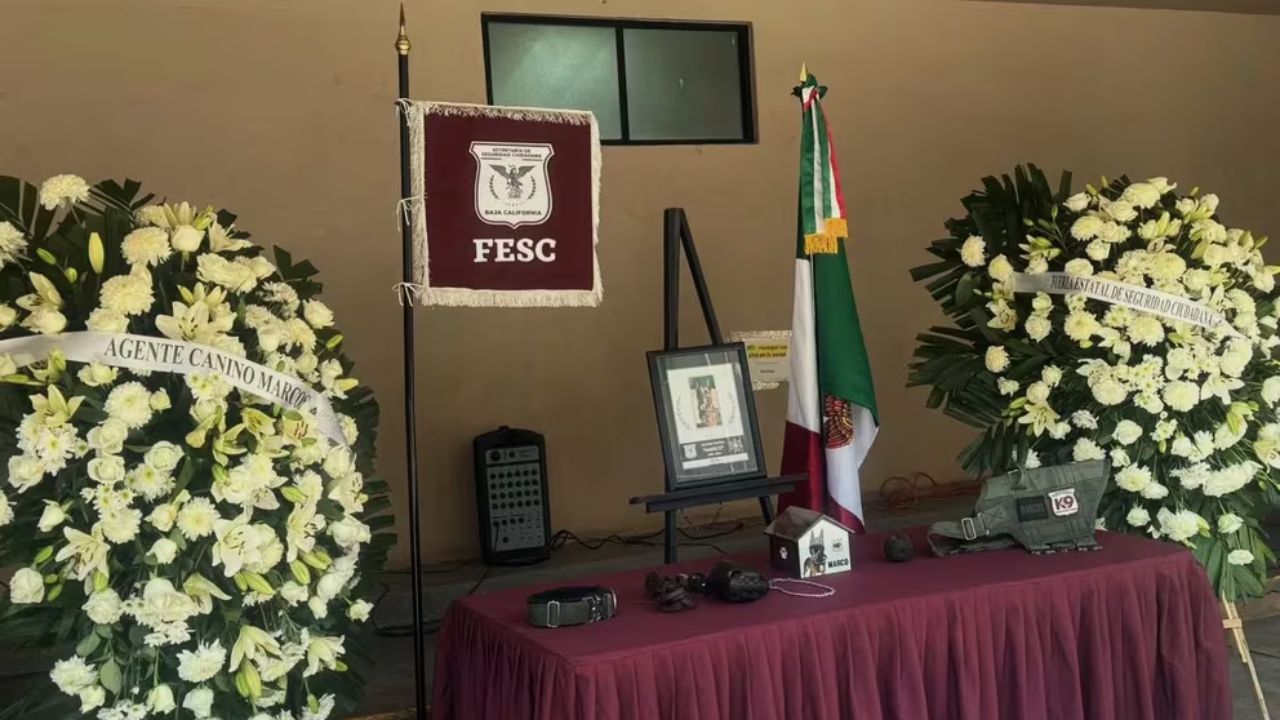 rinde-fesc-tributo-a-agente-canino-de-baja-california (1).jpg