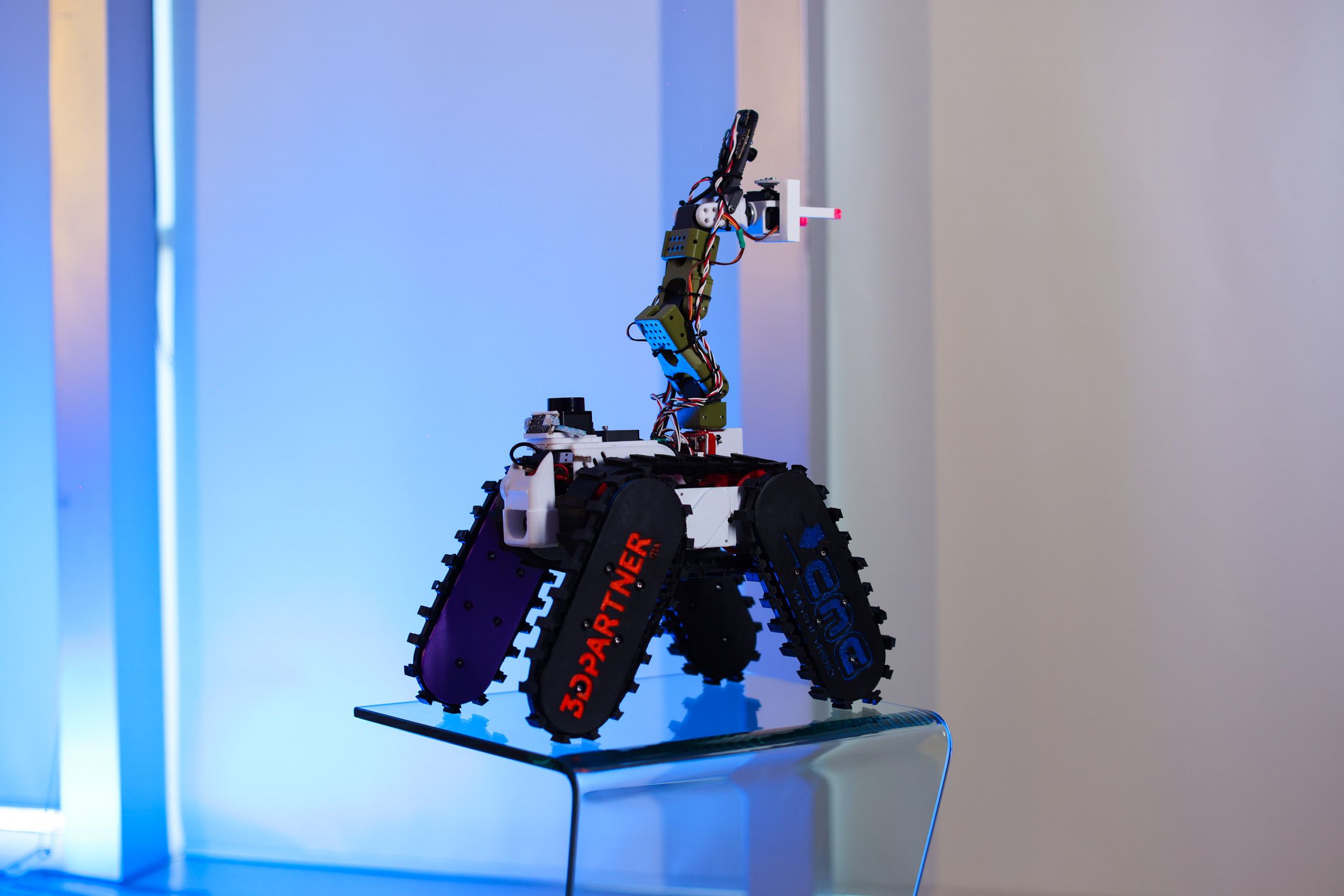 robocup-032.jpg