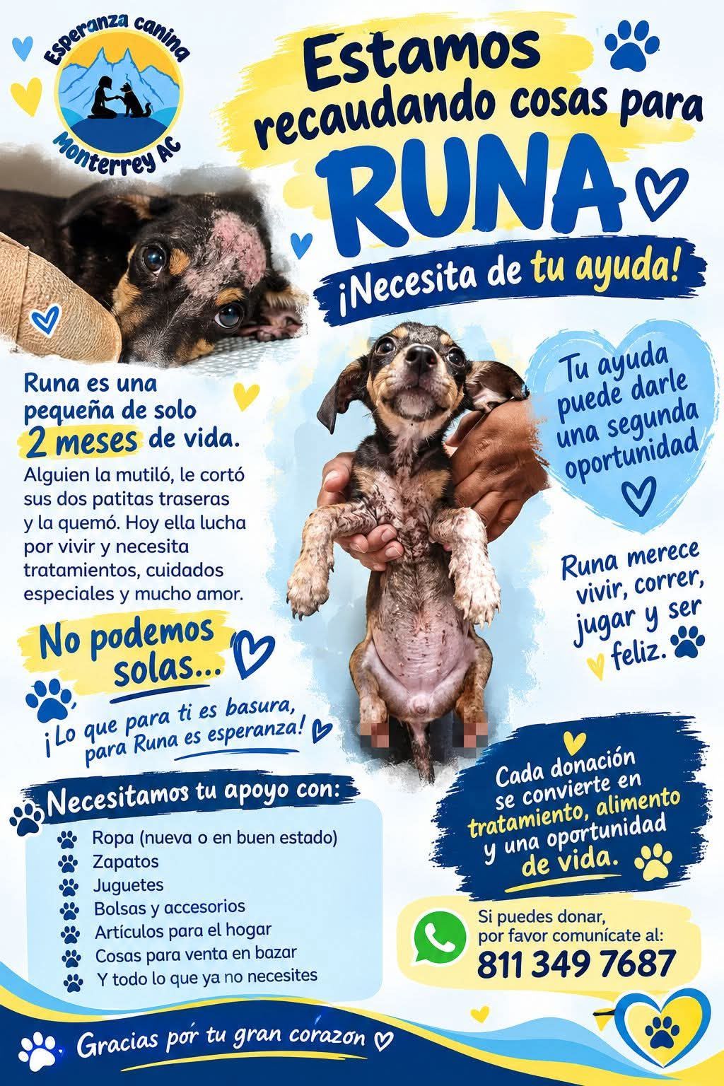 runa-rescate-perrita-3.jpeg