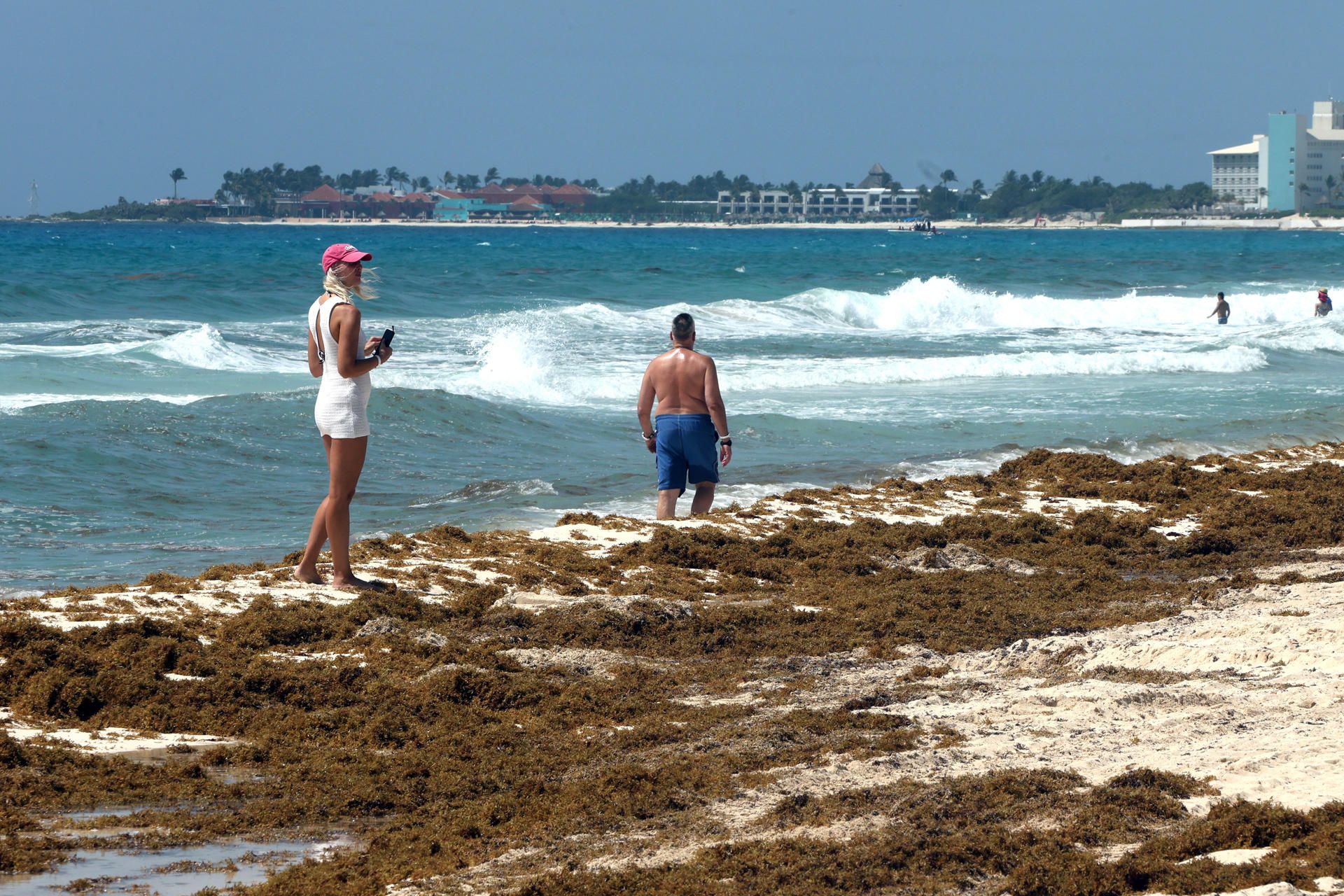 sargazo-cancun1.jpg