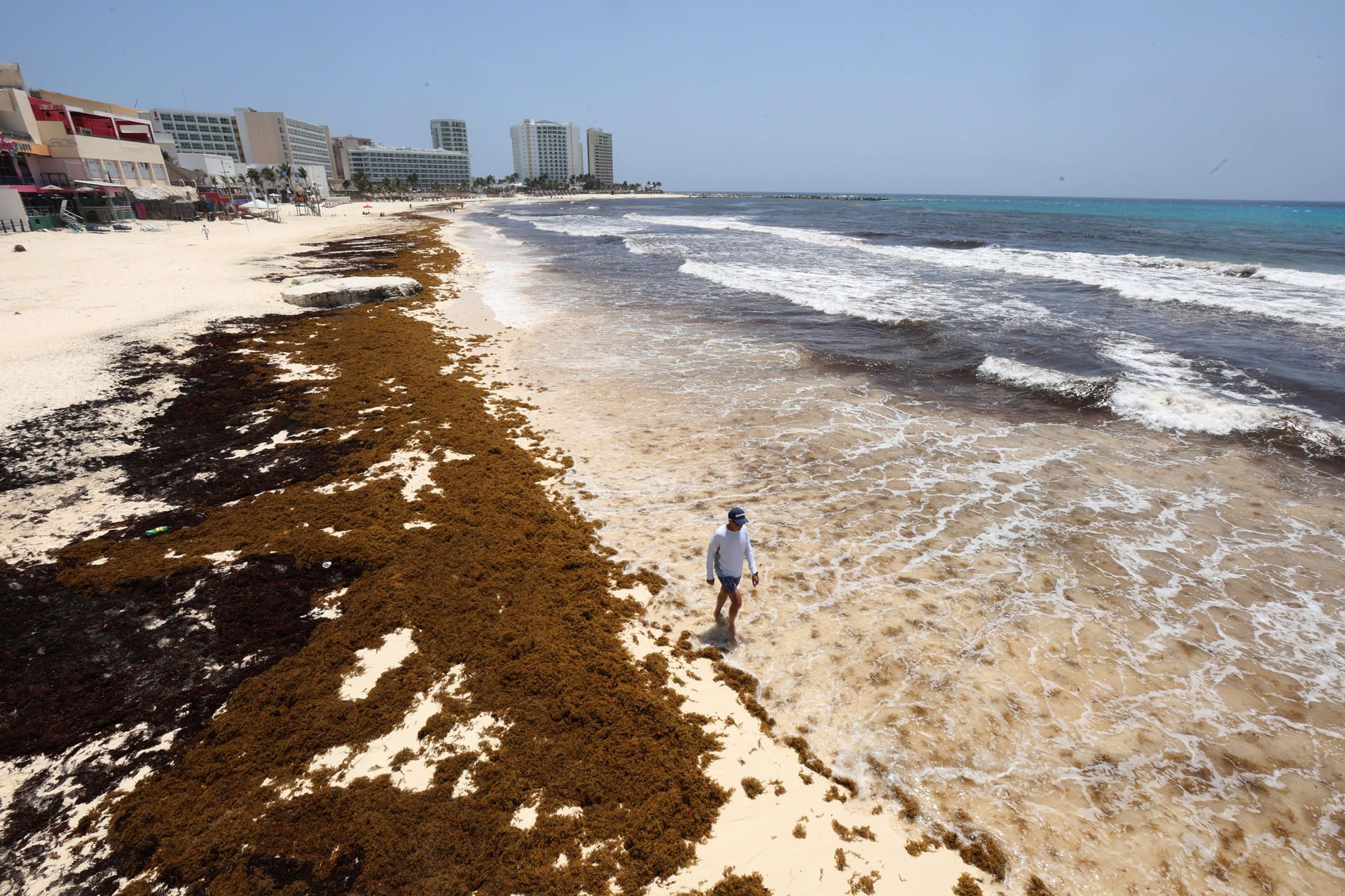sargazo-cancun2.jpg