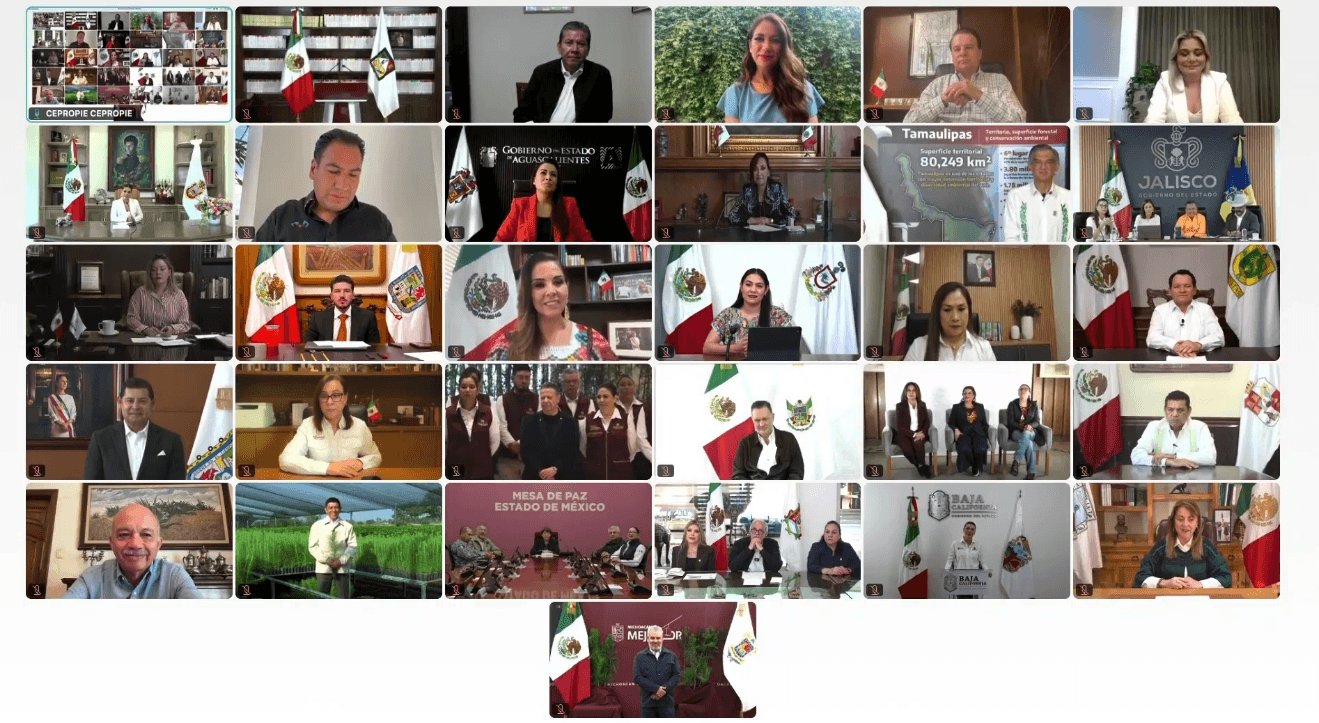 sembraran-6.6-millones-de-arboles-jornada-reforestacion.jpg