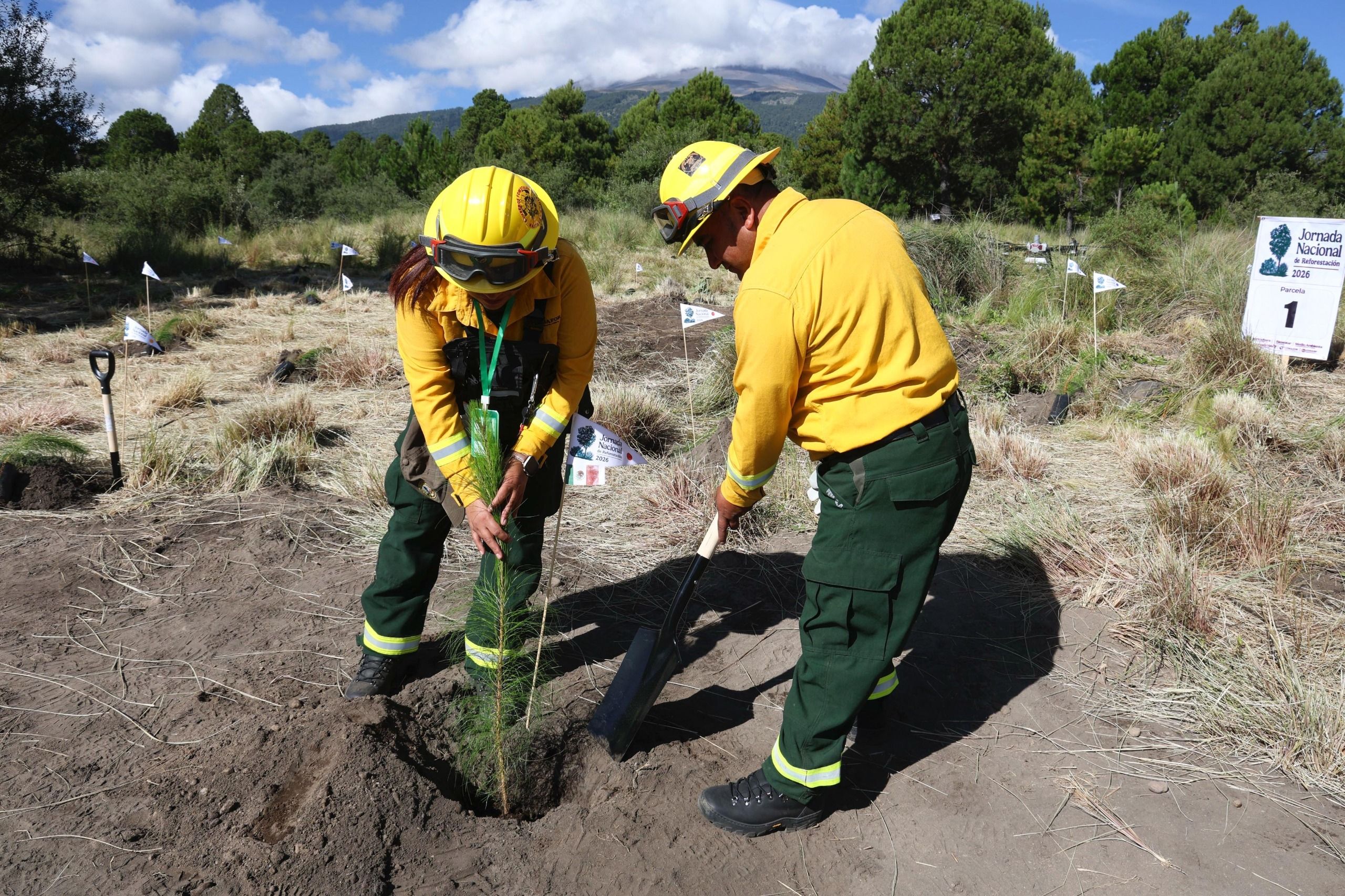 sheinbaum-encabeza-jornada-nacional-reforestacion.jpg
