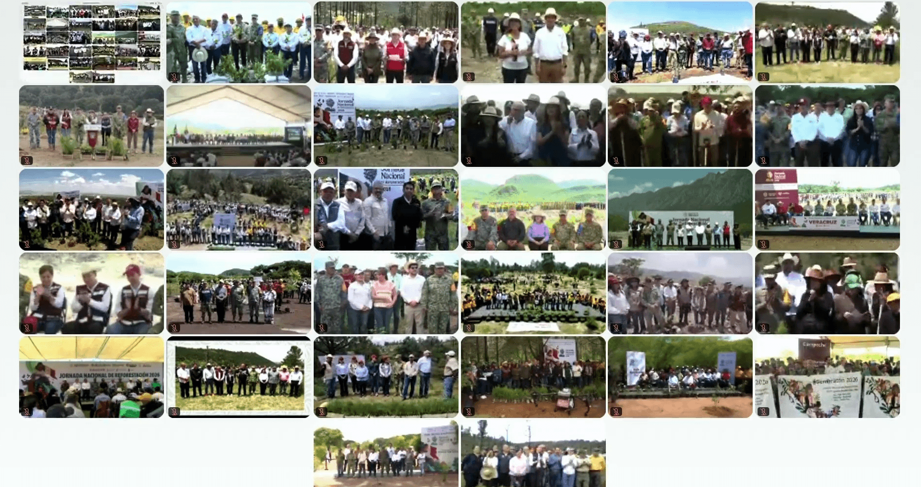 sheinbaum-encabeza-jornada-nacional-reforestacion.jpg
