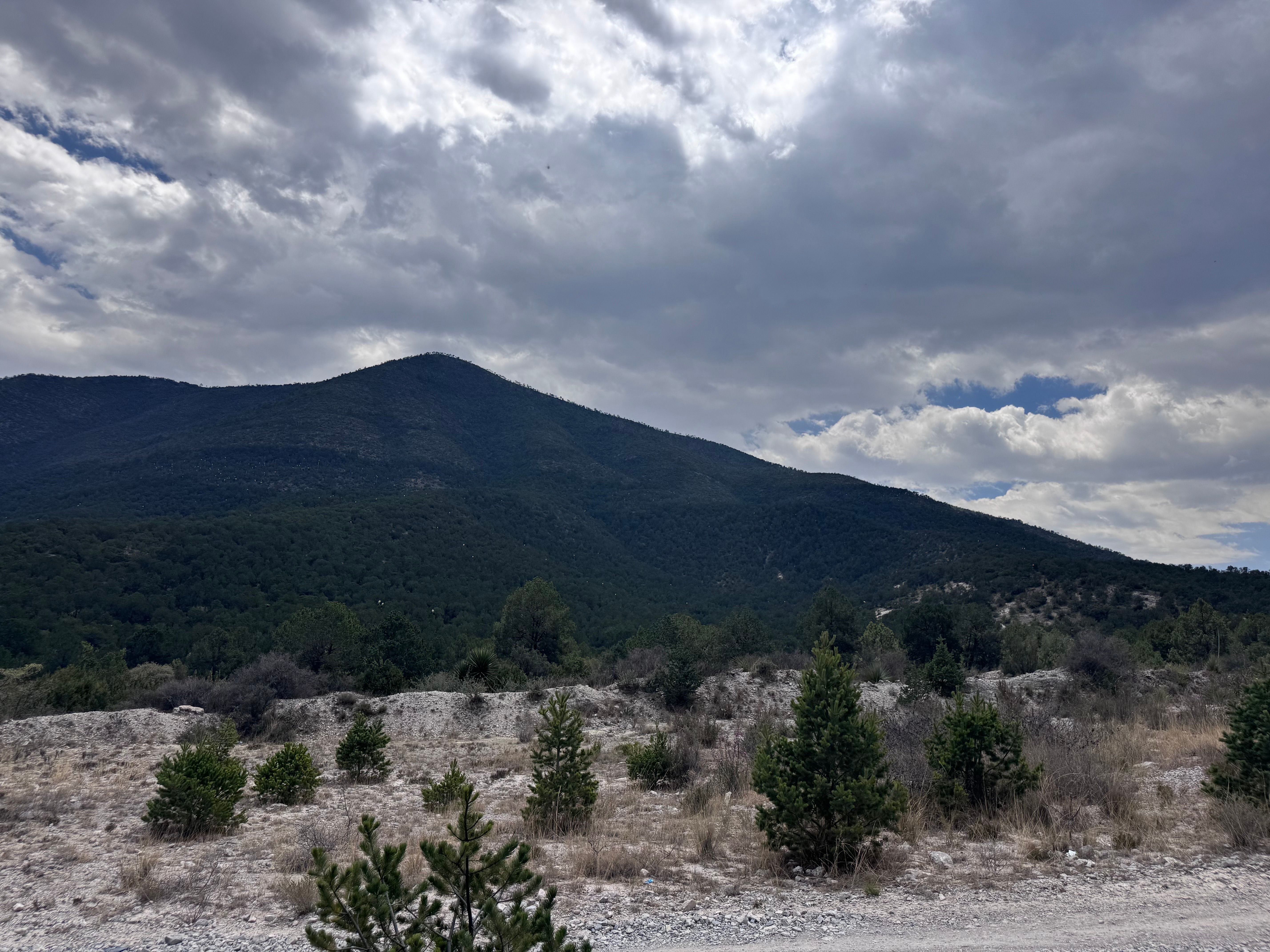 sierra de arteaga coahuila vigilancia