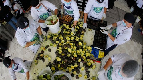Jalisco rompe el récord del guacamole más grande del mundo