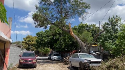 Colonia Pedro J. Méndez permanecen sin luz por caída de poste
