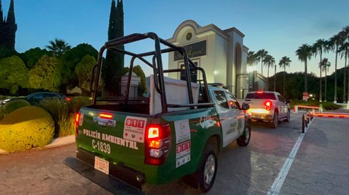 Fiscalía catea vivienda por presunto maltrato contra 'Rocky'