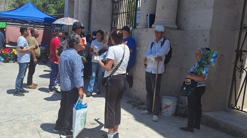Enjambre de abejas provoca emergencia en Panteón Santiago