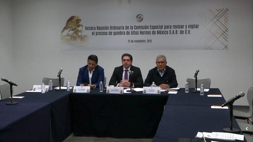 Síndico urge autorizar subasta para enero de 2026