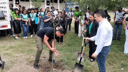 Planteles educativos participan en reforestación urbana