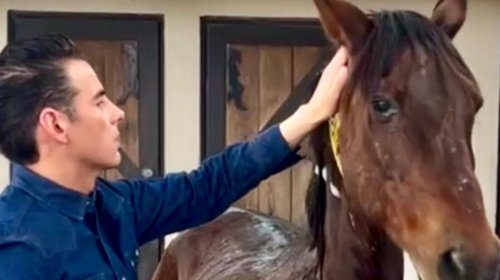 Miguel Flores crea refugio para caballos víctimas de maltrato