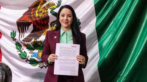 Quieren que impuesto verde sea para reubicar empresas
