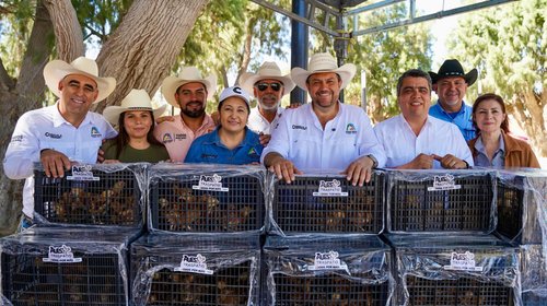 Entregan 2 mil aves de traspatio en ejidos de Ramos Arizpe
