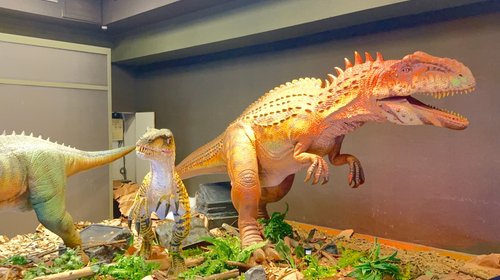 Dinosaurios de Coahuila llegarán al AIFA con exposición gigante