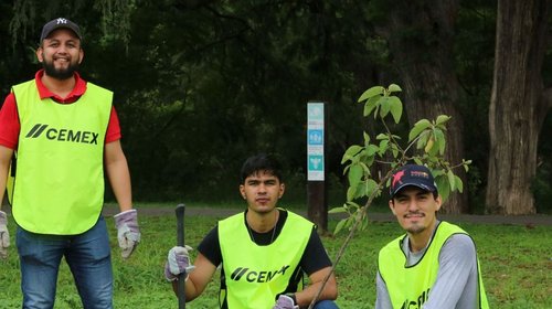 Regios reforestan el corredor biológico Río La Silla