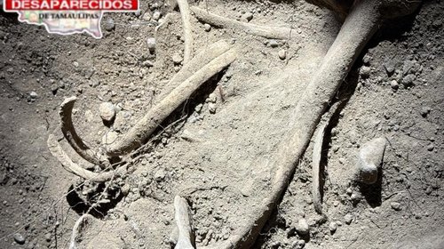 Localizan osamenta en fosa clandestina al poniente de Reynosa