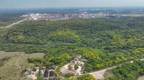 Pemex protege más de 2 mil hectáreas de ecosistemas en Veracruz