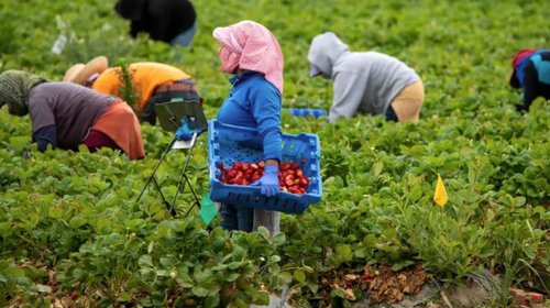  Migrantes mexicanos en EUA son la octava economía mundial