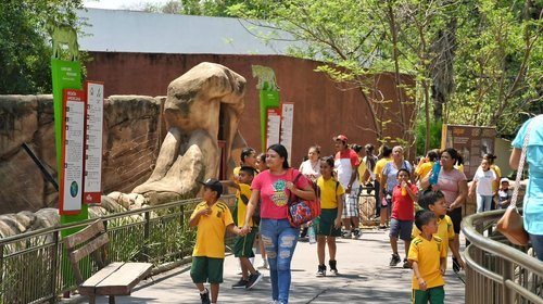Zoológico de Tamatán desmiente rumor sobre fuga de animal