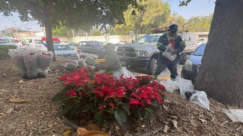 Prepara Monterrey festival navideño con actividades para todos
